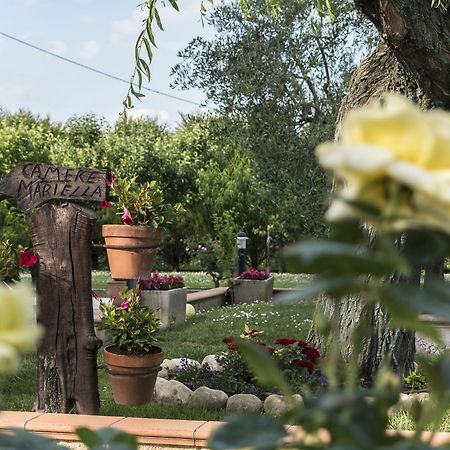 Camere Mariella Ασίζη Εξωτερικό φωτογραφία