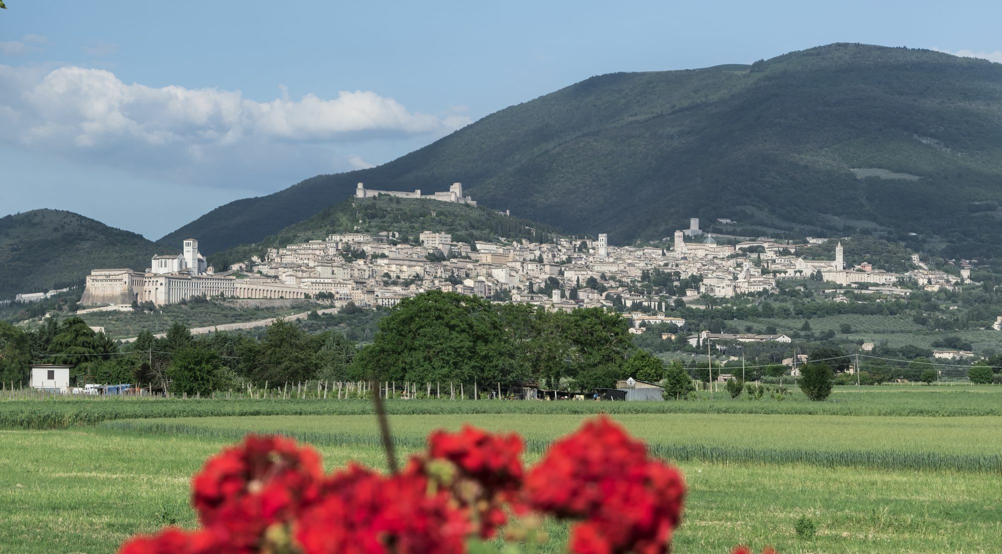 Camere Mariella Ασίζη Εξωτερικό φωτογραφία