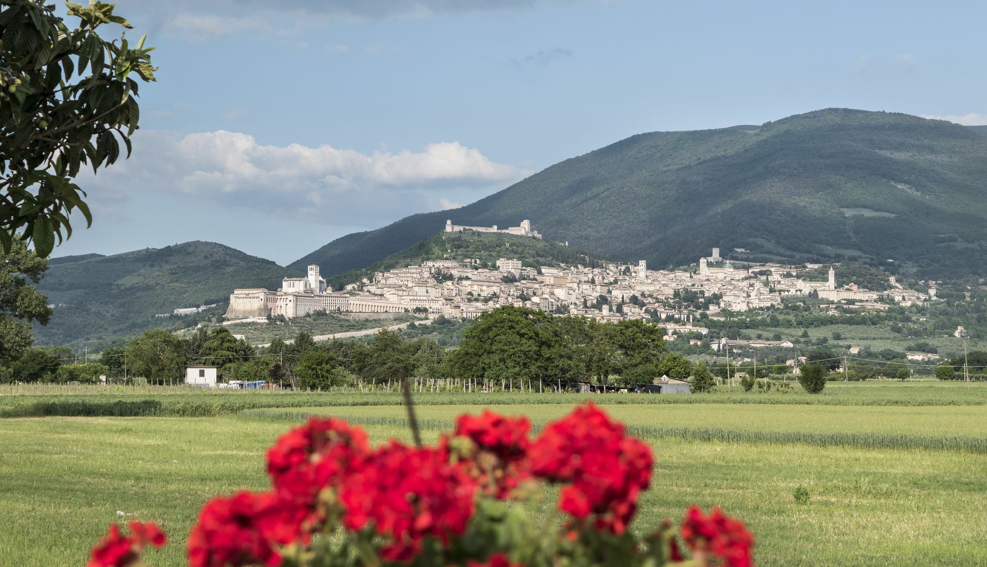Camere Mariella Ασίζη Εξωτερικό φωτογραφία