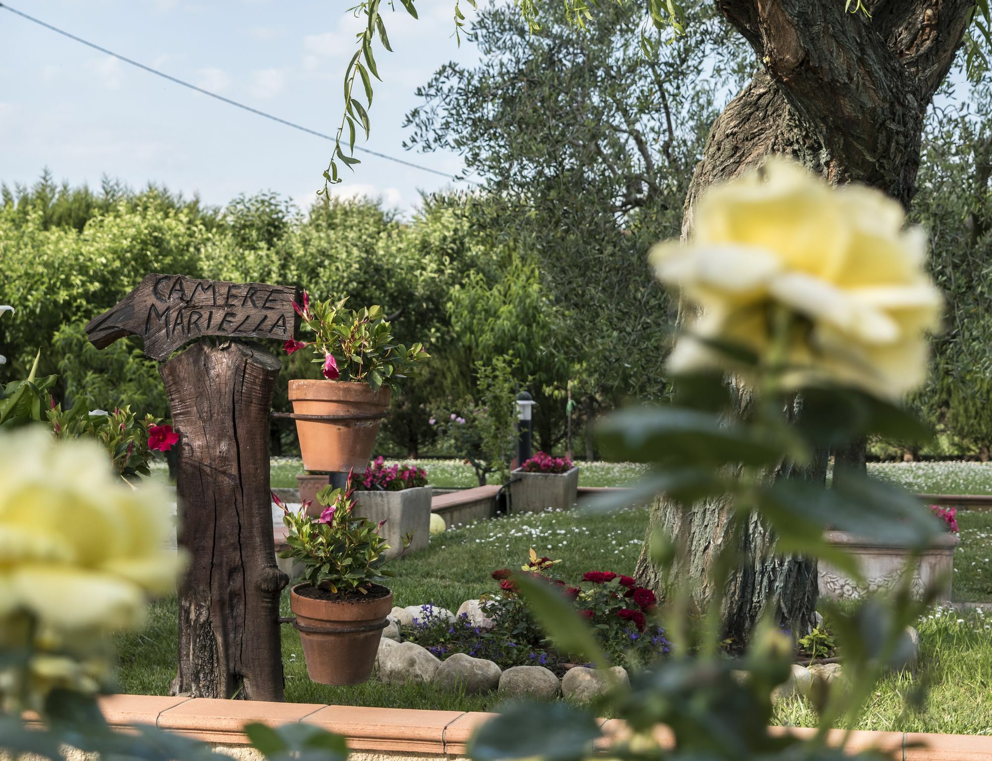 Camere Mariella Ασίζη Εξωτερικό φωτογραφία